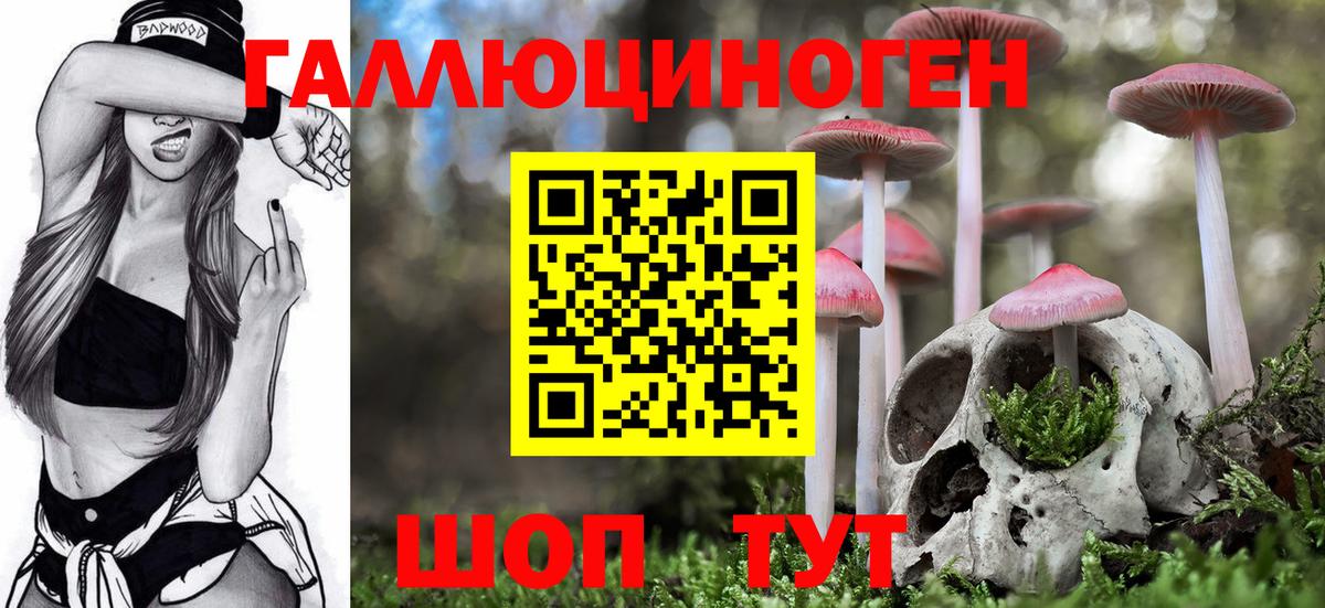 Шелехов  Галлюциногенные грибы Magic Shrooms  Вход с VPN  Псилоцибиновые грибы Cubensis 